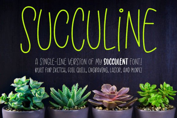 Succuline Single Line: A Creative Font for Modern Making