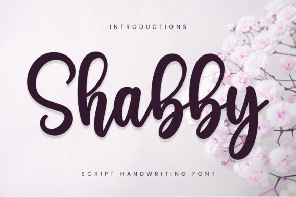 The Gentle Allure of Shabby: A Handwritten Font for Modern Design